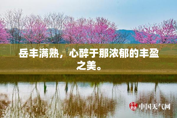岳丰满熟，心醉于那浓郁的丰盈之美。