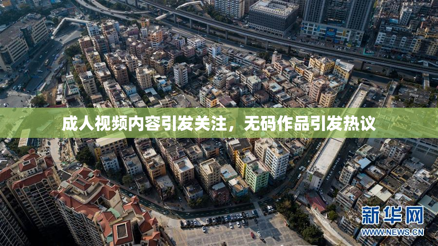 成人视频内容引发关注，无码作品引发热议