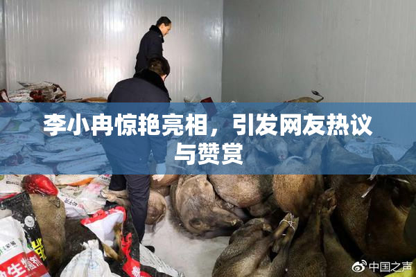 李小冉惊艳亮相，引发网友热议与赞赏