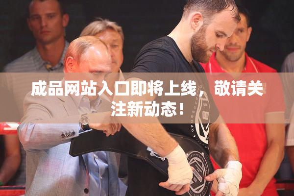 成品网站入口即将上线，敬请关注新动态！