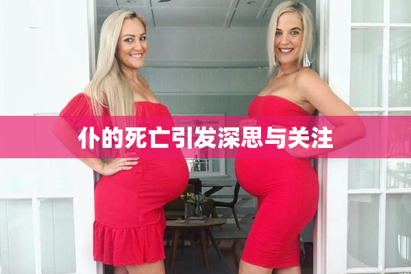 仆的死亡引发深思与关注