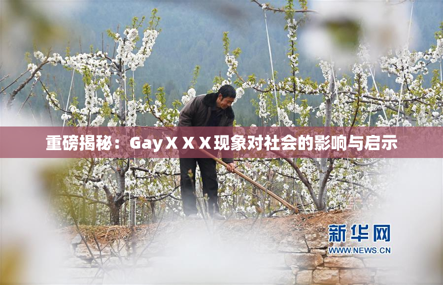 重磅揭秘：GayⅩⅩⅩ现象对社会的影响与启示