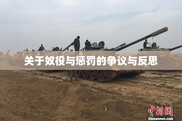 关于奴役与惩罚的争议与反思