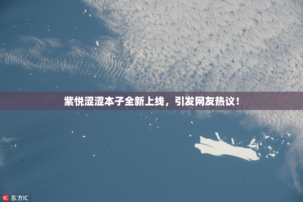 紫悦涩涩本子全新上线，引发网友热议！