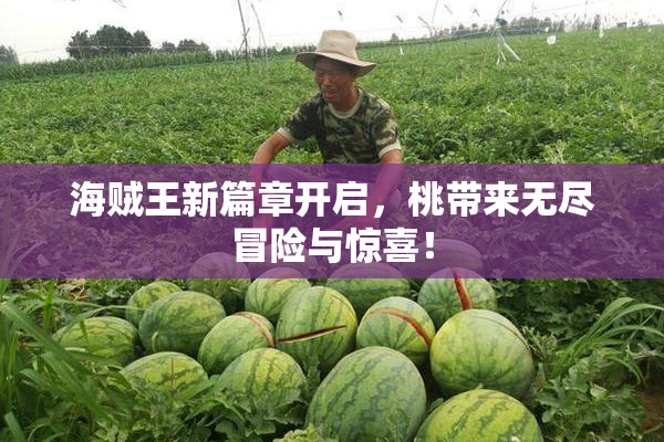 海贼王新篇章开启，桃带来无尽冒险与惊喜！