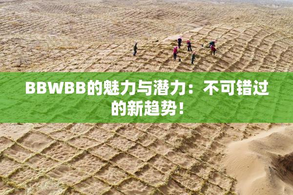 BBWBB的魅力与潜力：不可错过的新趋势！
