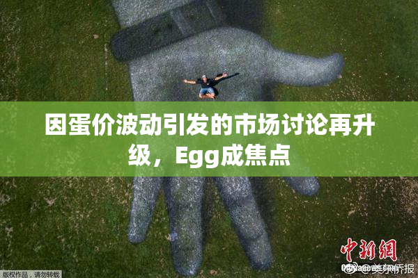 因蛋价波动引发的市场讨论再升级，Egg成焦点