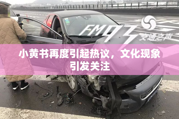 小黄书再度引起热议，文化现象引发关注