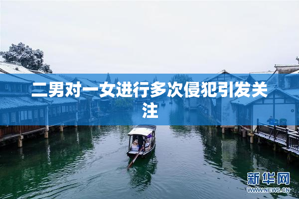 二男对一女进行多次侵犯引发关注