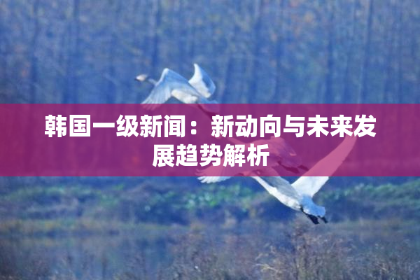 韩国一级新闻：新动向与未来发展趋势解析