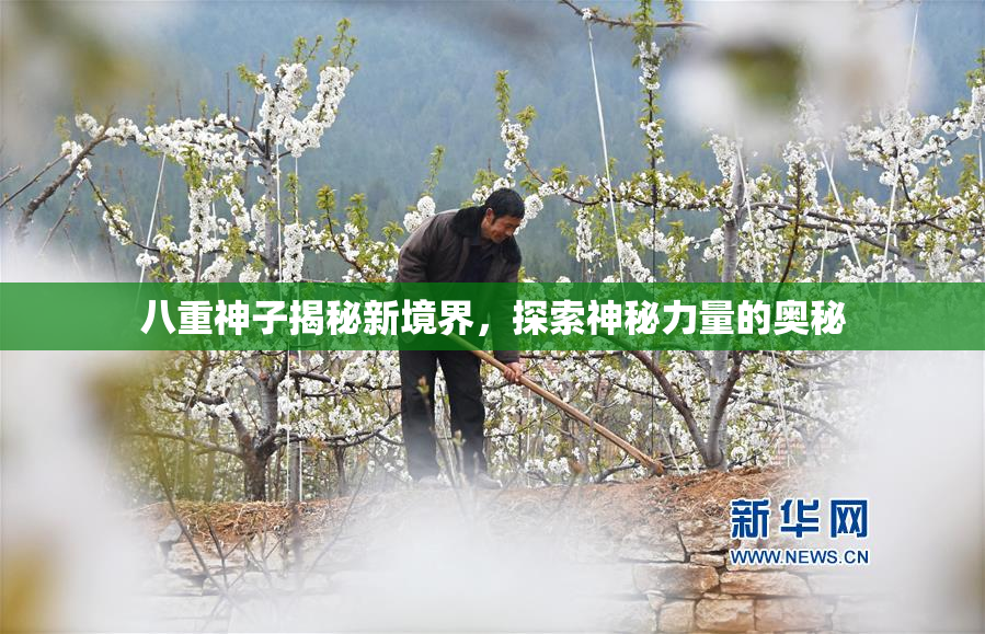 八重神子揭秘新境界，探索神秘力量的奥秘