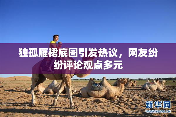 独孤雁裙底图引发热议，网友纷纷评论观点多元