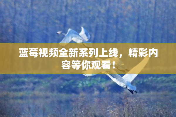 蓝莓视频全新系列上线，精彩内容等你观看！
