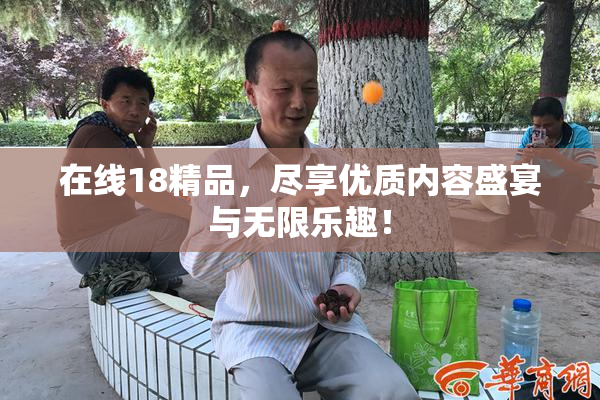 在线18精品，尽享优质内容盛宴与无限乐趣！