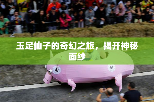 玉足仙子的奇幻之旅，揭开神秘面纱