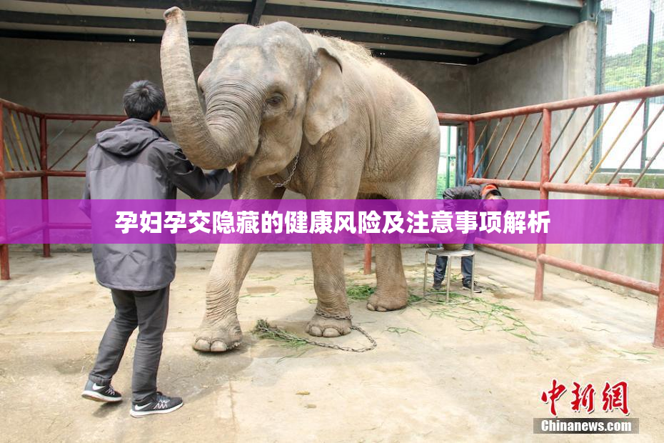 孕妇孕交隐藏的健康风险及注意事项解析