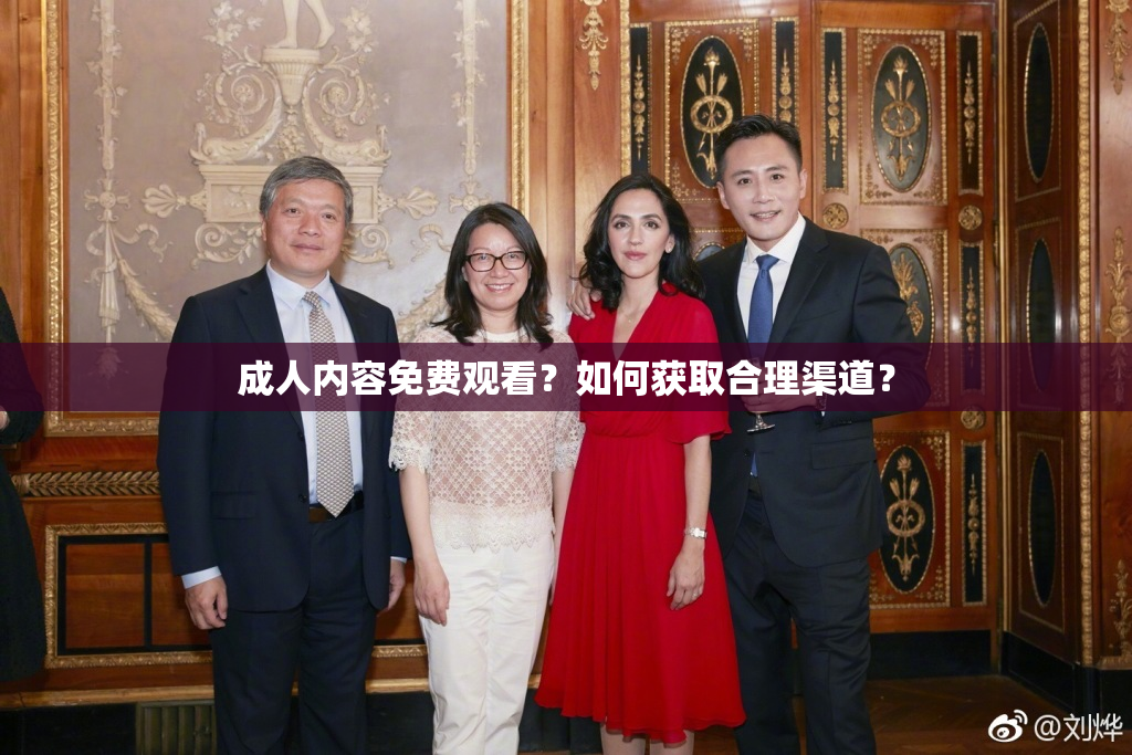 成人内容免费观看？如何获取合理渠道？