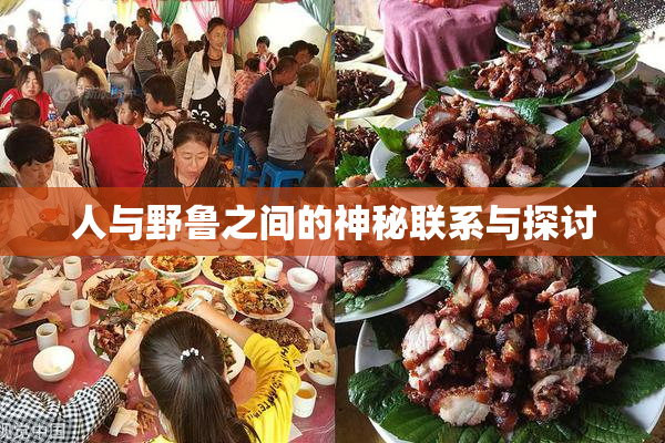 人与野鲁之间的神秘联系与探讨