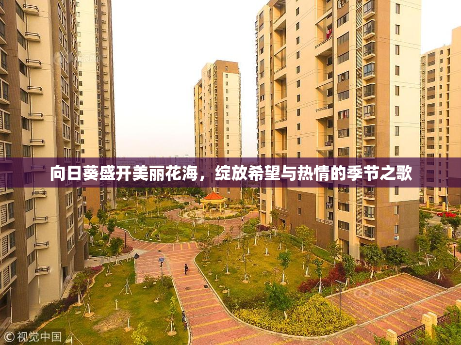 向日葵盛开美丽花海，绽放希望与热情的季节之歌
