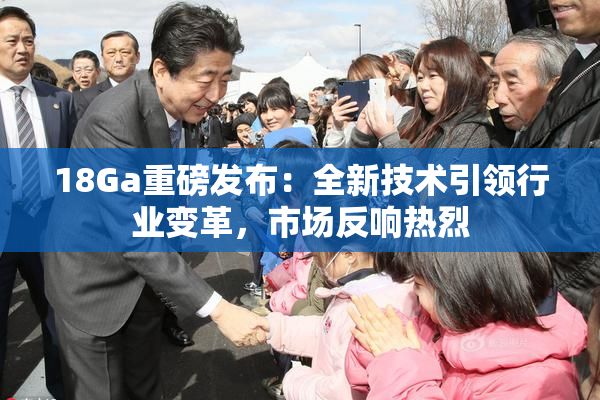 18Ga重磅发布：全新技术引领行业变革，市场反响热烈