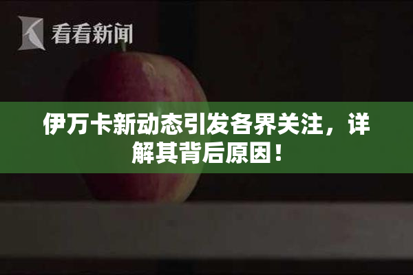 伊万卡新动态引发各界关注，详解其背后原因！