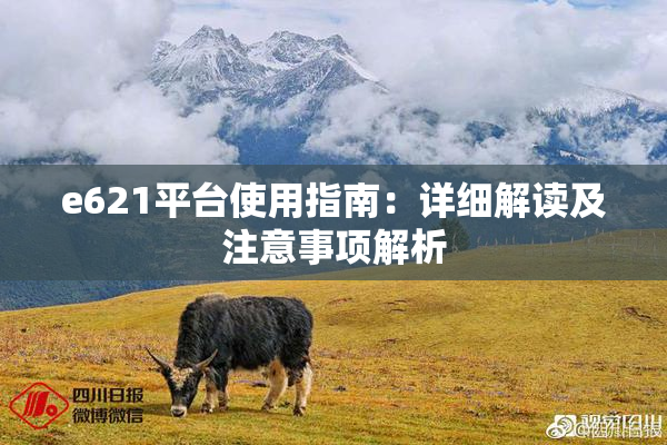 e621平台使用指南：详细解读及注意事项解析