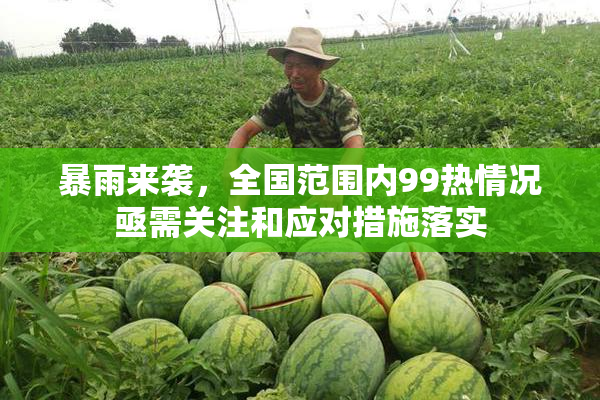 暴雨来袭，全国范围内99热情况亟需关注和应对措施落实
