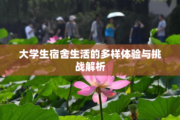 大学生宿舍生活的多样体验与挑战解析