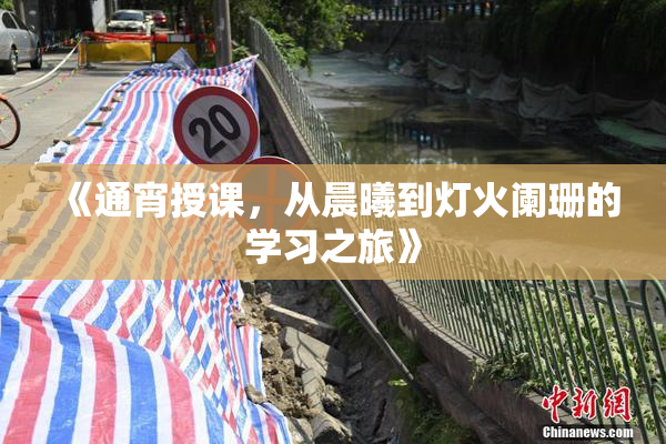 《通宵授课，从晨曦到灯火阑珊的学习之旅》