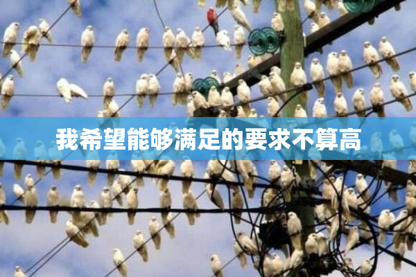 我希望能够满足的要求不算高