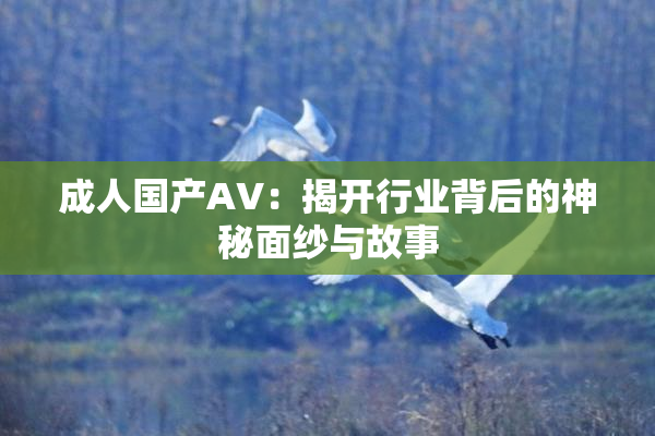 成人国产AV：揭开行业背后的神秘面纱与故事