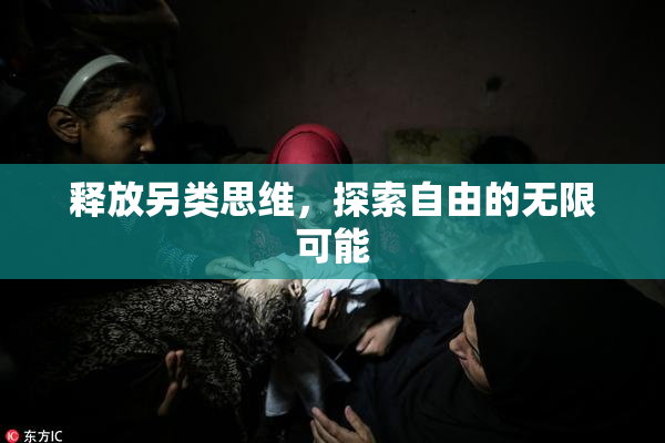 释放另类思维，探索自由的无限可能