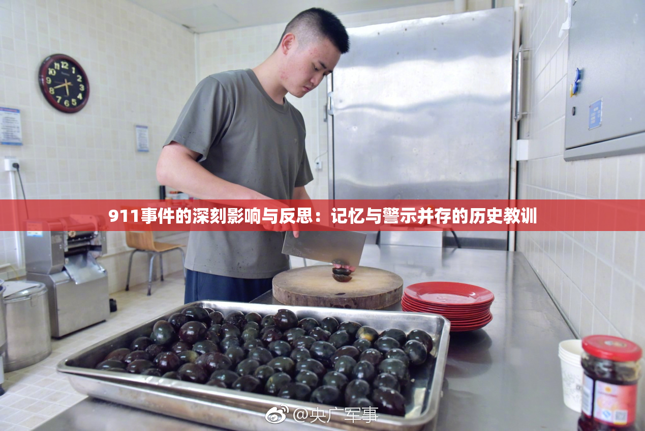 911事件的深刻影响与反思：记忆与警示并存的历史教训