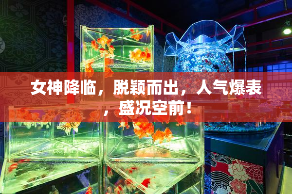 女神降临，脱颖而出，人气爆表，盛况空前！