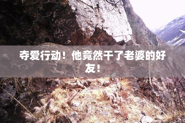 夺爱行动！他竟然干了老婆的好友！