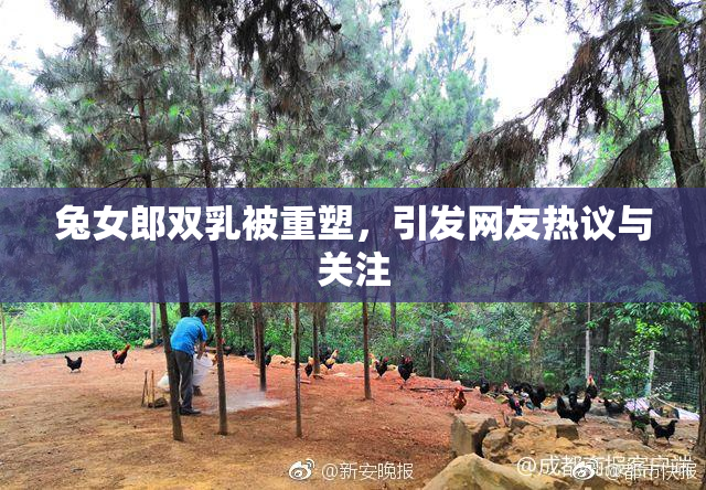 兔女郎双乳被重塑，引发网友热议与关注