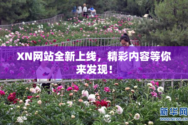 XN网站全新上线，精彩内容等你来发现！