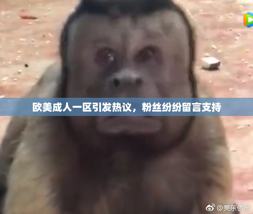 欧美成人一区引发热议，粉丝纷纷留言支持