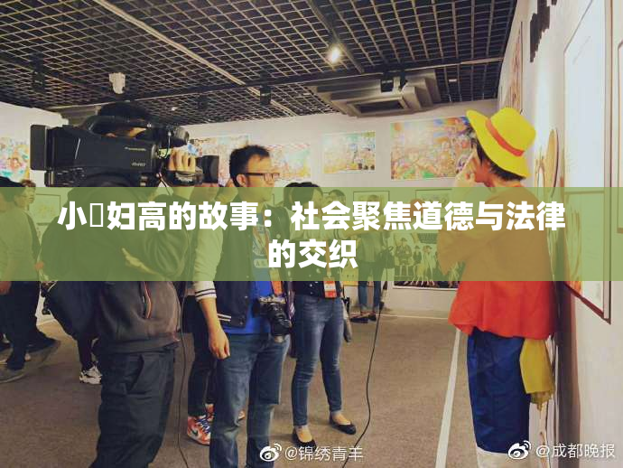 小婬妇高的故事：社会聚焦道德与法律的交织