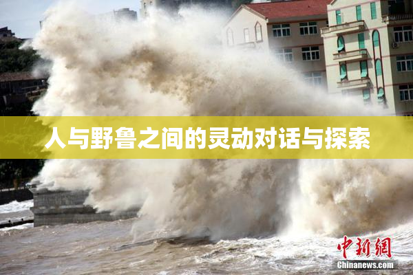 人与野鲁之间的灵动对话与探索