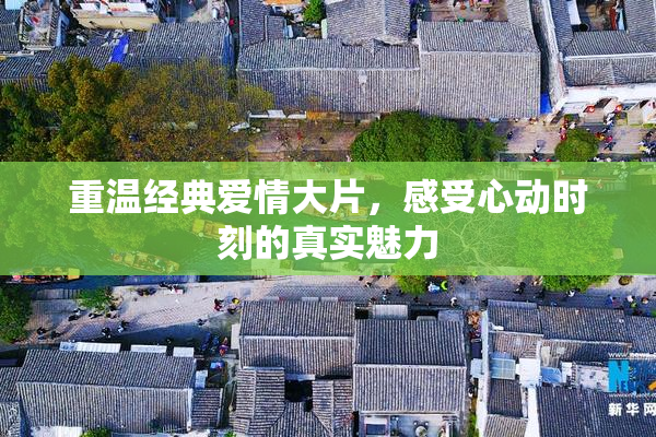 重温经典爱情大片，感受心动时刻的真实魅力
