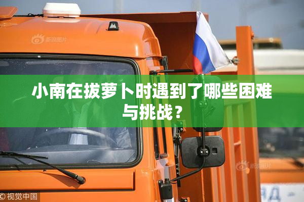 小南在拔萝卜时遇到了哪些困难与挑战？