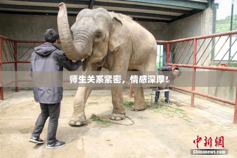 师生关系紧密，情感深厚！