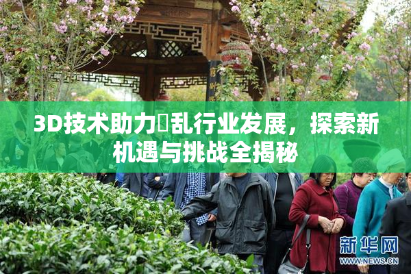 3D技术助力婬乱行业发展，探索新机遇与挑战全揭秘
