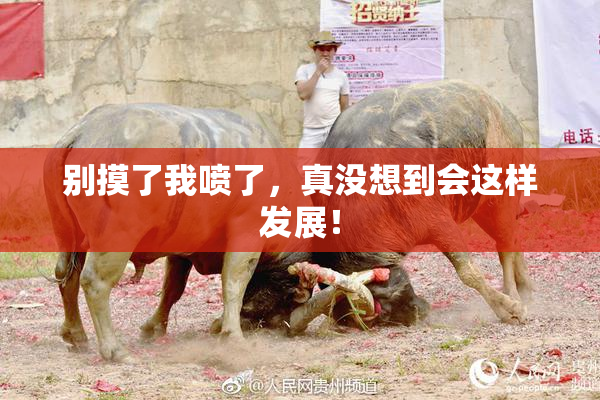 别摸了我喷了，真没想到会这样发展！