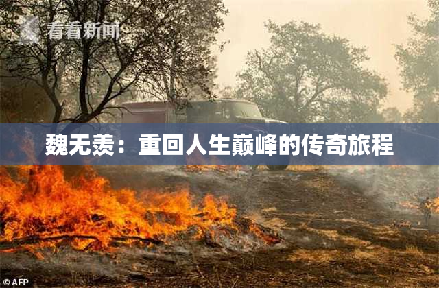 魏无羡：重回人生巅峰的传奇旅程