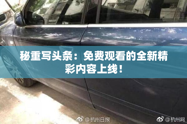 秘重写头条：免费观看的全新精彩内容上线！