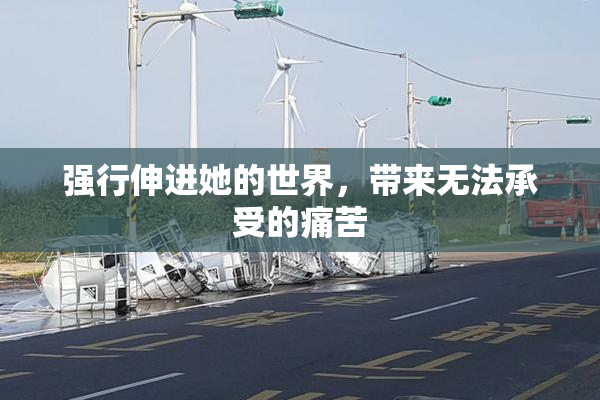 强行伸进她的世界，带来无法承受的痛苦