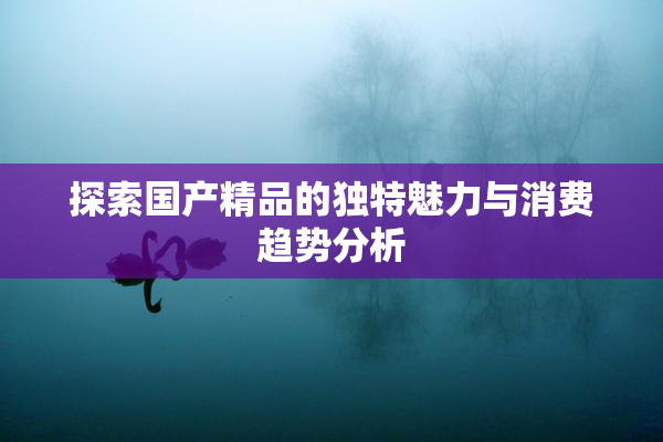 探索国产精品的独特魅力与消费趋势分析