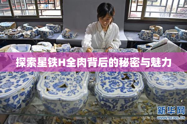 探索星铁H全肉背后的秘密与魅力